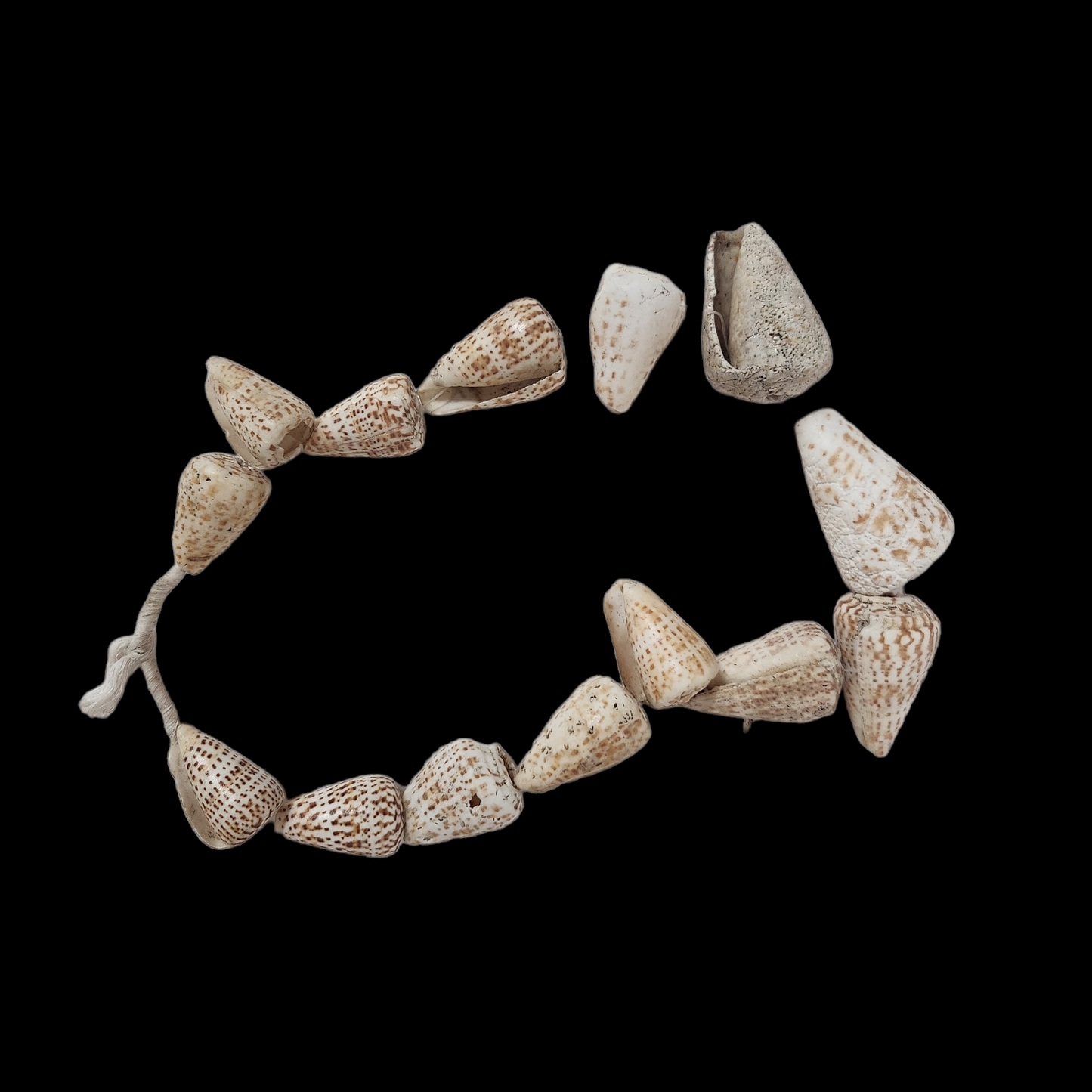 Shellfish necklace Mali 20th Century - MD African Art