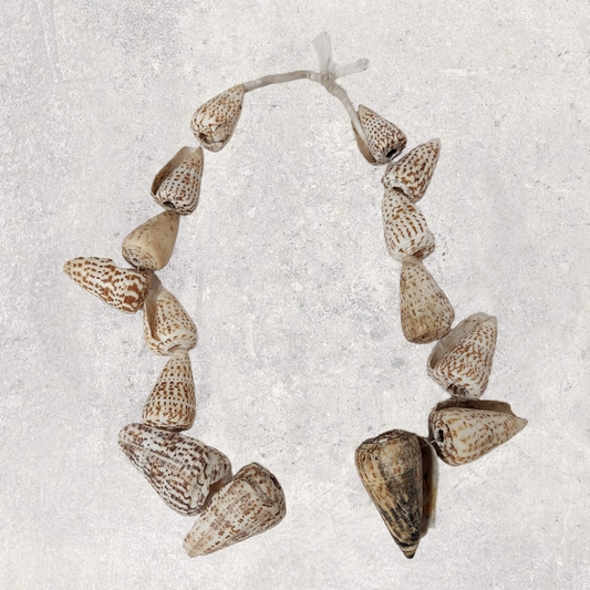 Shellfish necklace Mali 20th Century - MD African Art