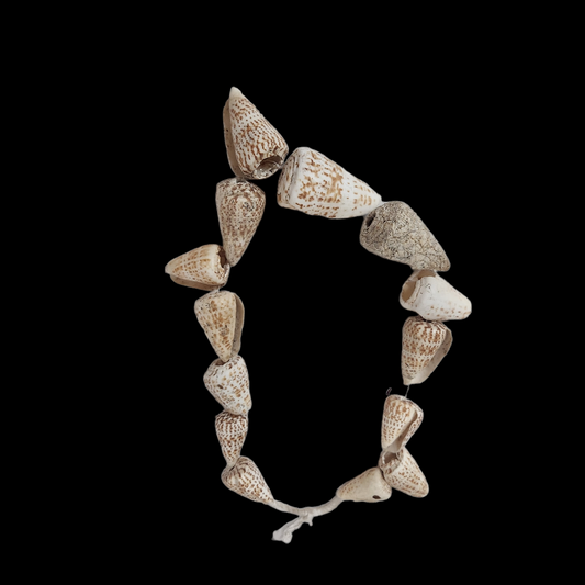 Shellfish necklace Mali 20th Century - MD African Art