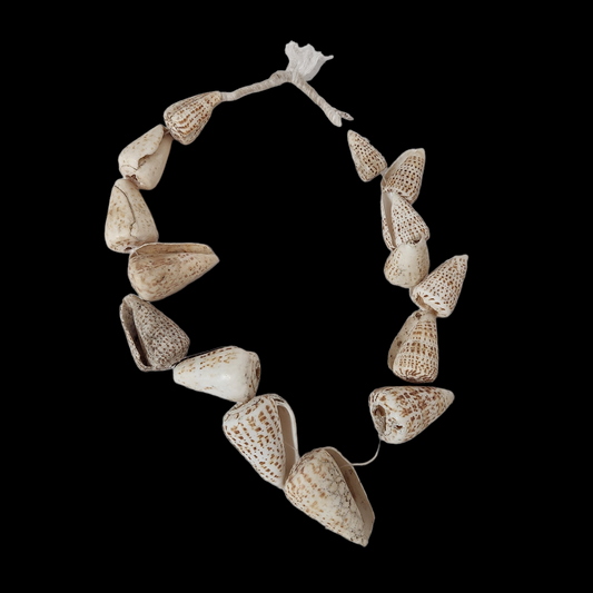 Shellfish necklace Mali 20th Century - MD African Art