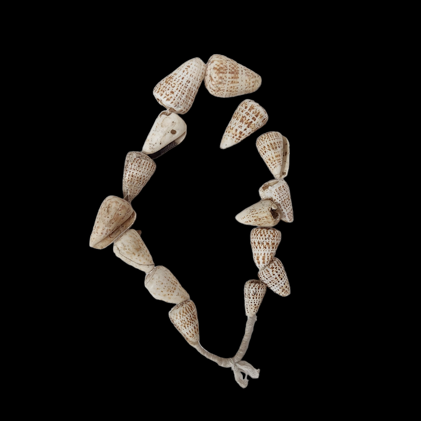 Shellfish necklace Mali 20th Century - MD African Art